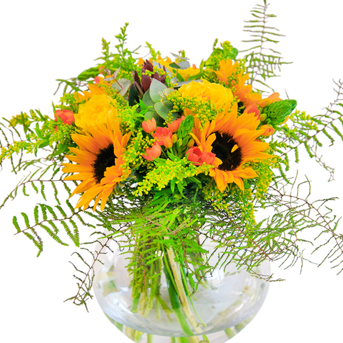 With the joyful vibrancy of a Grove Park summer, this bouquet dazzles in its clear, spherical vase set against a crisp white backdrop. Sunflowers are the undisputed stars, their broad golden petals radiating around deep chocolate centres and evoking memories of sunlit walks through Chiswick's parks. Alongside, garden-fresh yellow roses bloom in tightly woven spirals, their petal structure adding classic elegance. Round clusters of red hypericum berries poke playfully among the flowers, injecting vibrant pops of colour that catch the eye, much like the bright produce found at local markets on a Saturday. The arrangement is replete with lush, cascading foliage: downy fern fronds and filmy solidago blossoms add texture and a breezy sense of movement, reminiscent of wind stirring the trees along the Thames Path. Slim spikes of green and the silvery, cool notes of eucalyptus leaves create layers of depth and dimension, balancing the bouquet's warmth. The rounded glass vase showcases strong, green stems cleanly arranged, the water glinting at the base as a mark of freshness. Crafted for joyous occasions, this piece radiates positive energy-perfect for gifting or as a stunning addition to a Grove Park home, where the scents of summer fields mingle with everyday life.